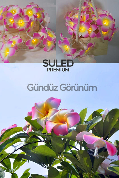 Plumeria Çiçeği Dekoratif Led Işık Ambiyans Ortam Aydınlatması ve Süsleme Ledleri