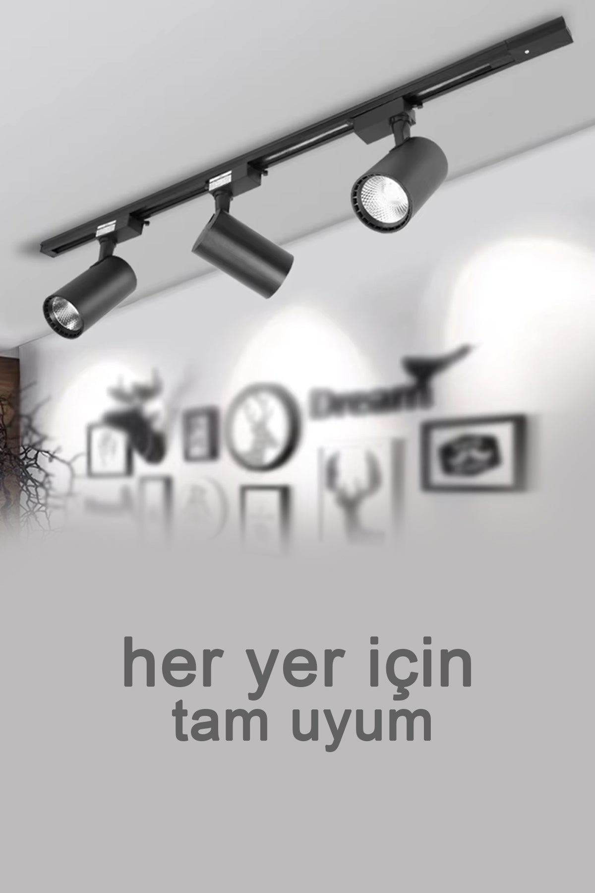 Ray Spot Işık Siyah Kasa - Beyaz Işık 360/90 Dönebilen 30W Ray Spotu Led Işık Pro 220V