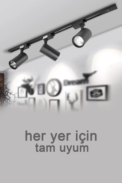 Ray Spot Işık Siyah Kasa - Beyaz Işık 360/90 Dönebilen 30W Ray Spotu Led Işık Pro 220V
