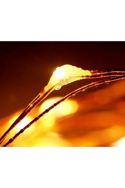 Sl-1054 - 3 Metre Peri Led 1001